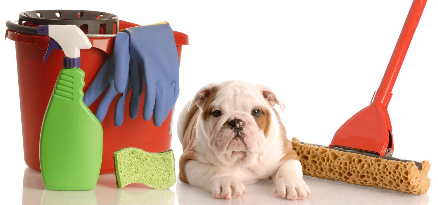Pet Cleaning Supplies