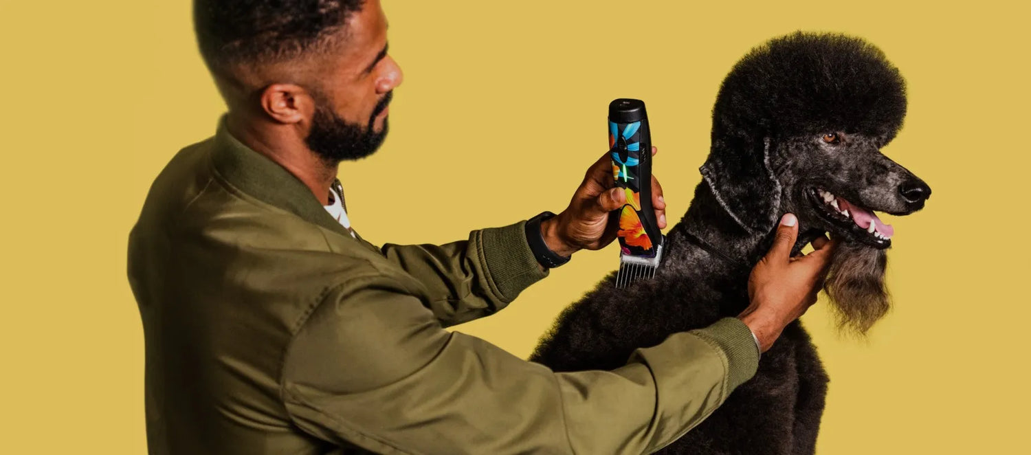 Pet Grooming Supplies