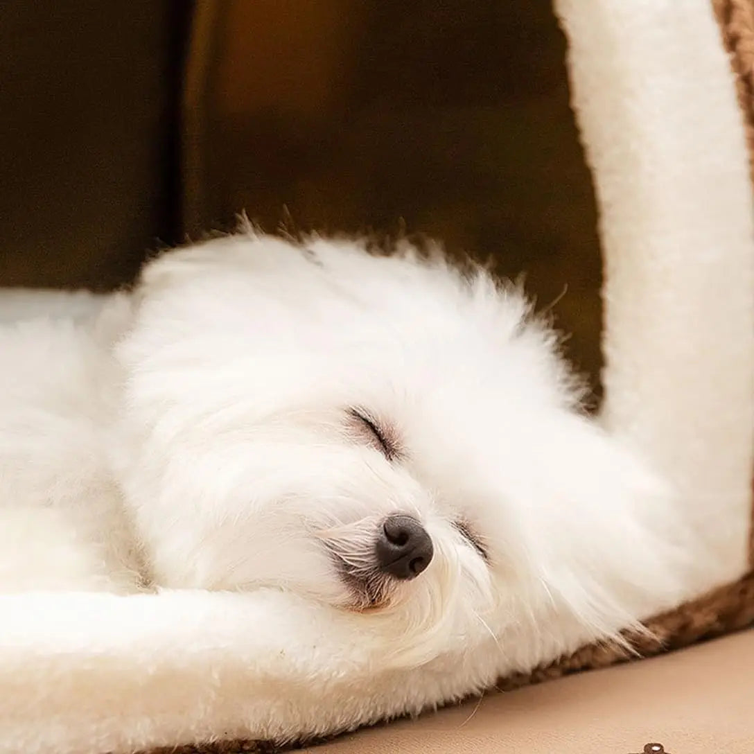 CozyPet Modern Fashion Dog House with Cushion Comfortable Bed for Small Medium Large Dogs Winter Solid Pattern Square PET House