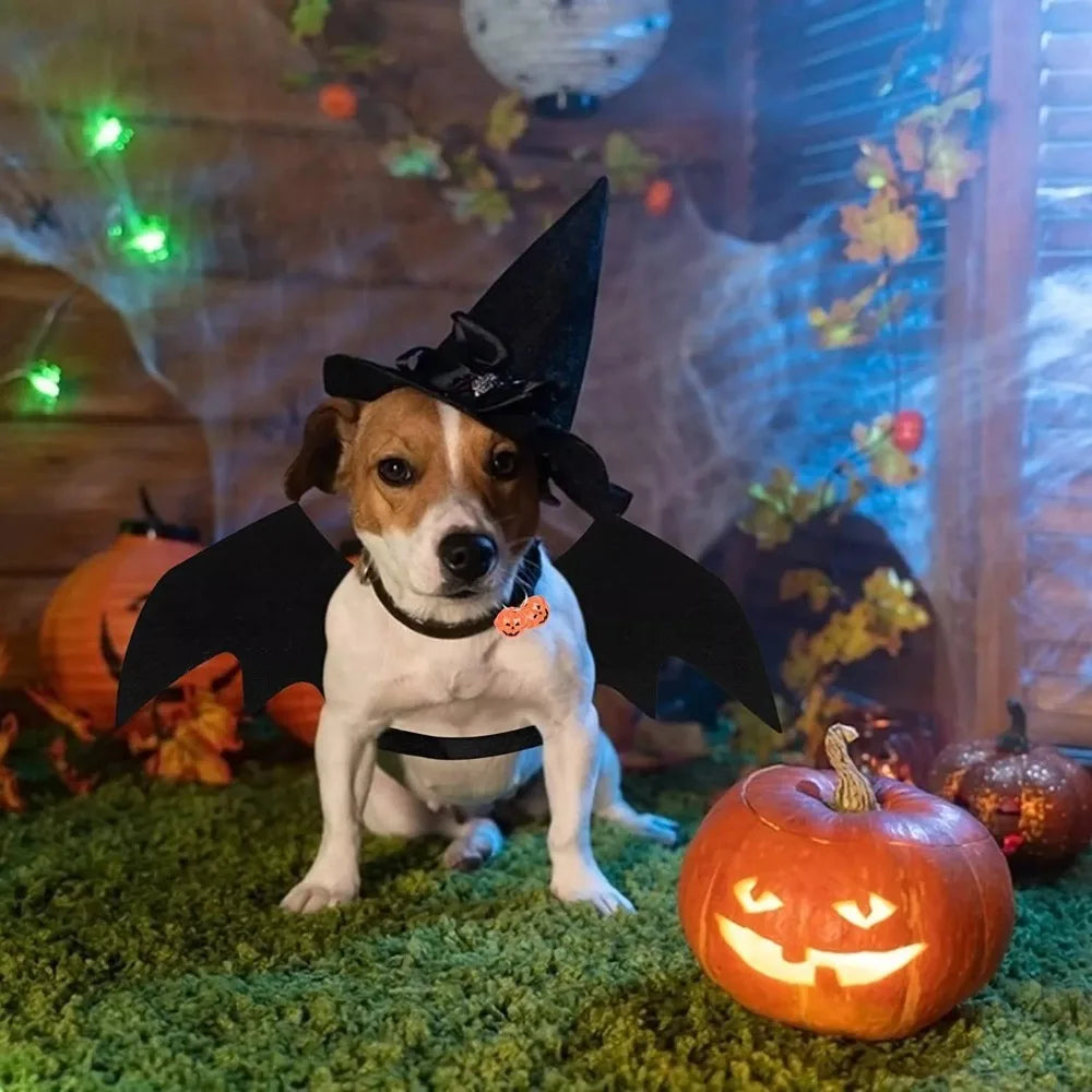 Creativity Halloween Pet Bat Wings Costume Multi Color With Bell Cat Transformation Clothes Gifts Puppy Cosplay Outfit