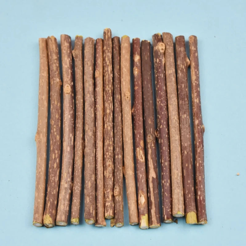 10PCS/15PCS/20PCS Cat-snack Polygonum natural polygonum stick molar stick thin rod polygonum