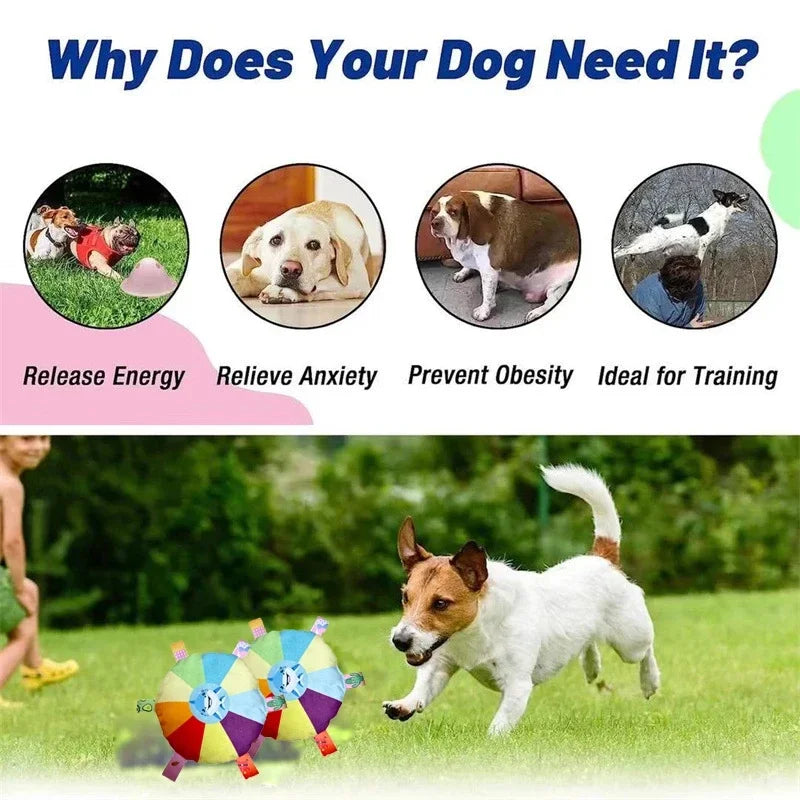 Funny Rainbow Plush Flying Saucer Dog Toys Outdoor Interactive Training Games Chew Toy Pets Flying Discs Toys Dog Accessories