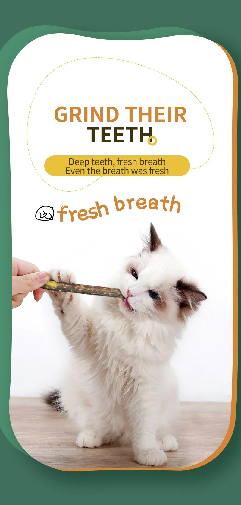 Cat Molar Stick Natural Catnip Teeth Cleaning Toothpaste Silvervine Cat Snack Stick Self Healing Kitten Chew Toy Pet Accessories