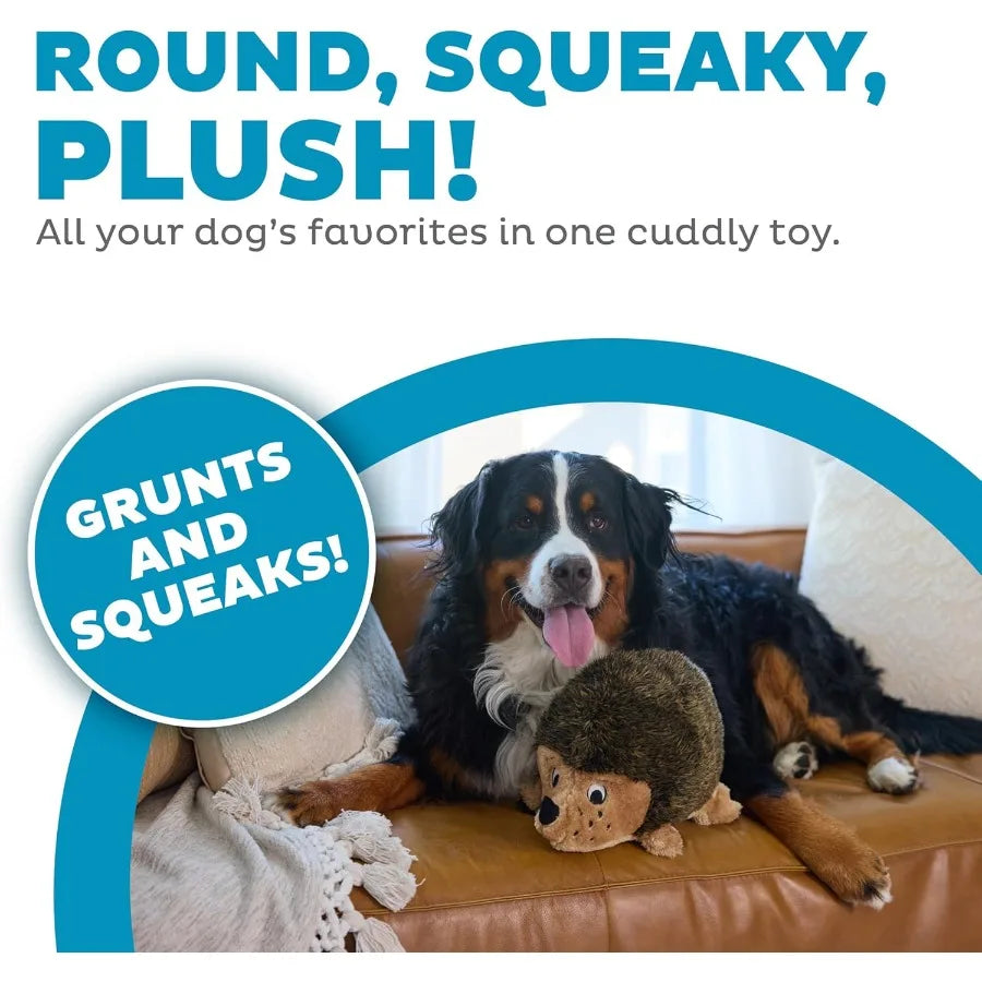 Hedgehogz Plush Dog Toy XL