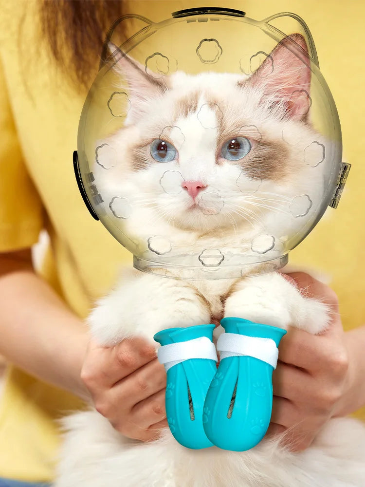 1Set Cat Muzzle Cat Transparent Muzzle Breathable Cat Hood Adjustable Kitten Astronaut Helmet Prevent from Cats Biting Chewing