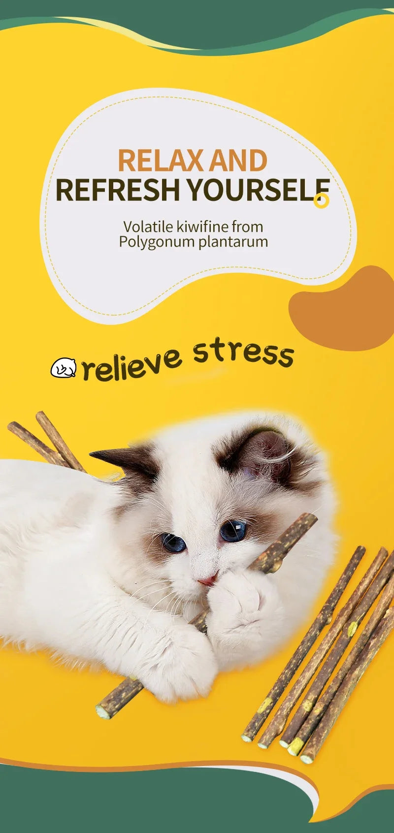 Cat Molar Stick Natural Catnip Teeth Cleaning Toothpaste Silvervine Cat Snack Stick Self Healing Kitten Chew Toy Pet Accessories