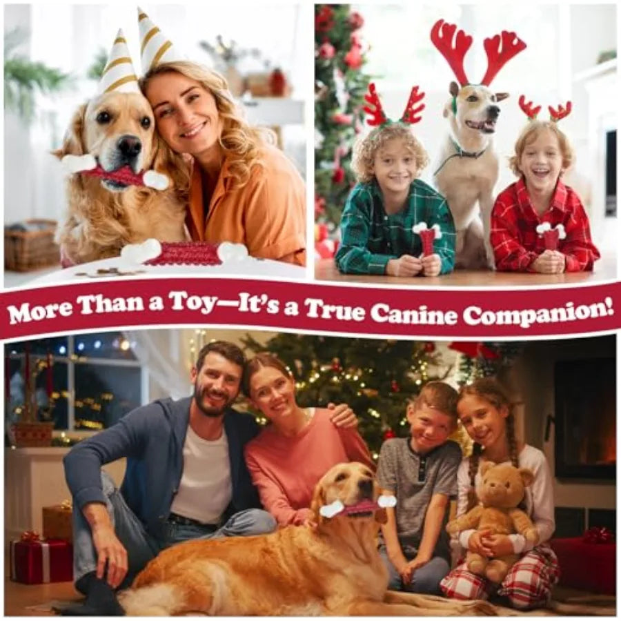 Tough Dog Toys Toys for Aggressive Chewers Large Breed Chew Dogs Bone Toy Nylon Dogs Almost Indestructible