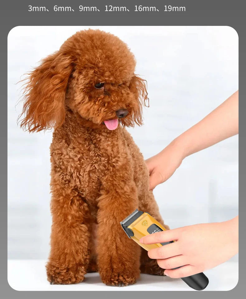 Pet Clipper Professional Dog Hair Trimmer Cat Grooming Shaver Type-C Charged Electric Puppy Cutting Machine for Small Big animal