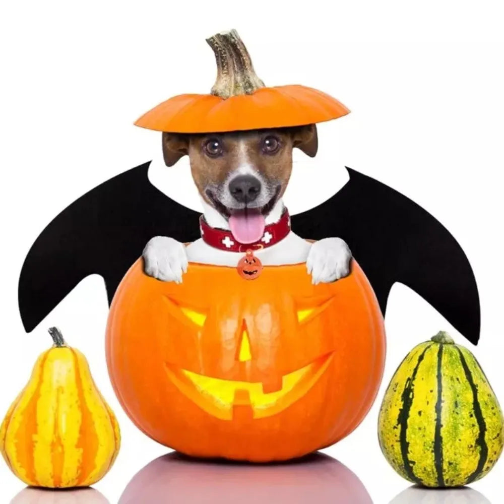 Creativity Halloween Pet Bat Wings Costume Multi Color With Bell Cat Transformation Clothes Gifts Puppy Cosplay Outfit